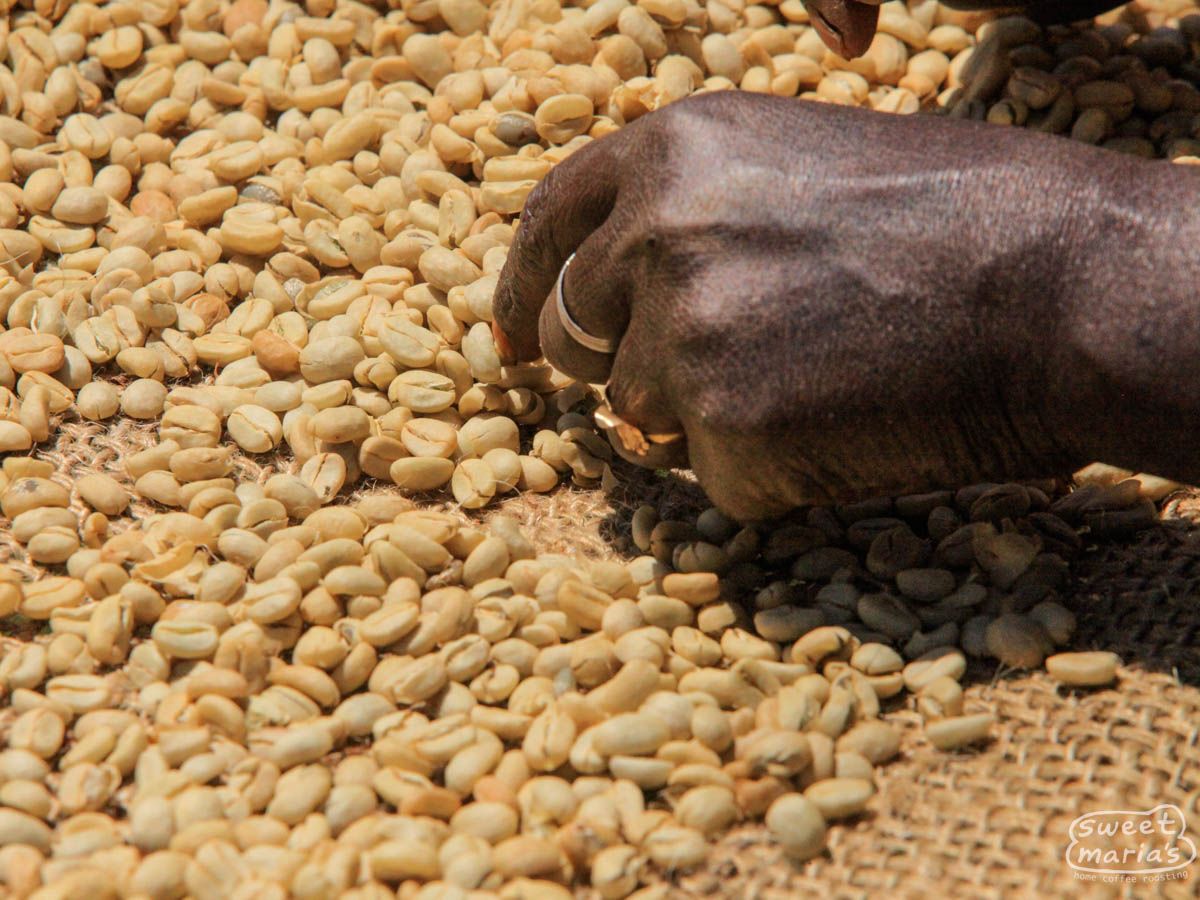 Ethiopia Organic Gera Nano Challa