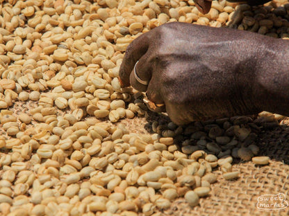 Ethiopia Organic Gera Nano Challa