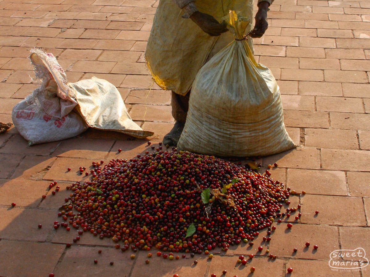 India Ratnagiri Estate